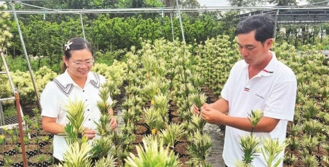 Gỡ điểm nghẽn cho start-up nông nghiệp