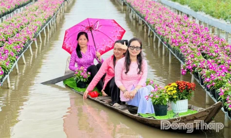 Khách du lịch đến Đồng Tháp tăng cao dịp Tết Dương lịch 2026