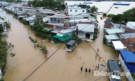 Đồng Tháp: Cảnh báo triều cường gây ngập lụt khu vực hạ nguồn sông Tiền