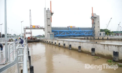Đồng Tháp: Chủ động vận hành công trình thủy lợi phòng, chống triều cường rằm tháng 11