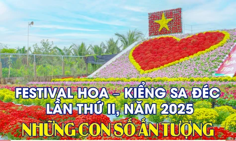 [Infographic] Festival Hoa - Kiểng Sa Đéc lần thứ II, năm 2025: Những con số ấn tượng