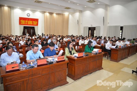 Dong Thap: Achieving And Exceeding 26 Out Of 27 Targets Under The 2025 Resolution