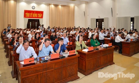 Dong Thap: Economic Development Identified As The Central Task