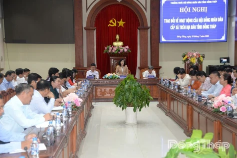Dong Thap Provincial People’s Council: Notable Achievements in a Year of Major Transitions