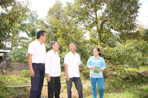 Kỳ 3: “Bàn đạp” đưa nông nghiệp xanh vươn xa