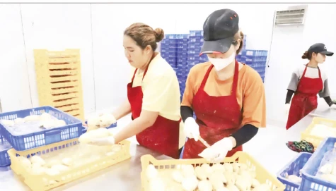 Nâng cao năng lực quản lý ngành hàng sầu riêng