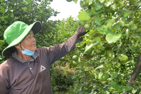 Tự tin khởi nghiệp, làm chủ cuộc sống