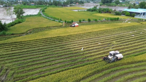 Kỳ 4: Những “nhạc trưởng” giàu tâm huyết