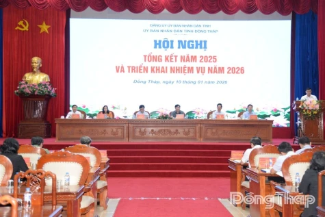 Dong Thap: Focus on Improving Administrative Reform and Competitiveness Indices