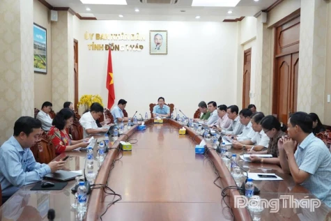 Vice Chairman of Dong Thap Provincial People’s Committee Huynh Minh Tuan chaired a meeting to review the outcomes of the 2nd Sa Dec Flower & Ornamental Plant Festival.