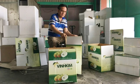 Tăng cường liên kết nông sản Đồng Tháp - Hà Nội