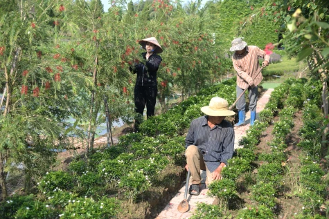 Thành công với mô hình vườn hoa du lịch