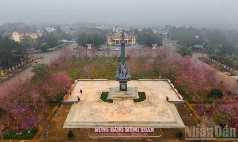 Xảy ra trận động đất mạnh 3,7 độ tại tỉnh Quảng Ngãi