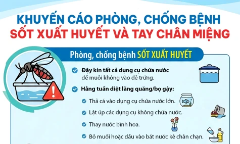 [Infographic] Khuyến cáo phòng, chống bệnh sốt xuất huyết và tay chân miệng