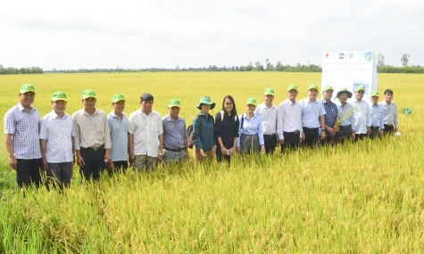 Bài 1: Từ Đề án 194 đến tư duy kinh tế nông nghiệp