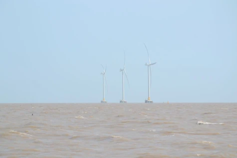 Đồng Tháp: Chủ động ứng phó với gió mạnh trên biển