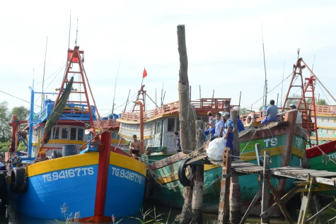 Đồng Tháp: Tái cơ cấu ngành khai thác hải sản 
theo hướng bền vững