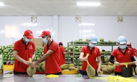 Giữ thị phần nông sản bằng chất lượng