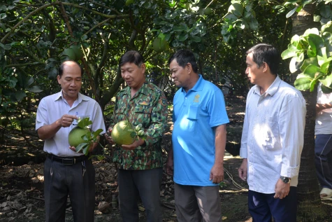 Hội quán nông dân Mỹ Phú: Nơi kết nối tri thức, đồng hành cùng nông dân làm giàu