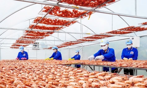 Quyết tâm hiện thực hóa mục tiêu phát triển đất nước