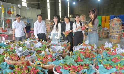 Đưa Nghị quyết vào cuộc sống bằng những việc làm cụ thể, thiết thực