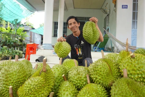 Hướng đến vùng nông nghiệp bền vững