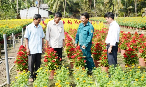 Vững tin bước vào năm mới 2026 với quyết tâm và khát vọng phát triển