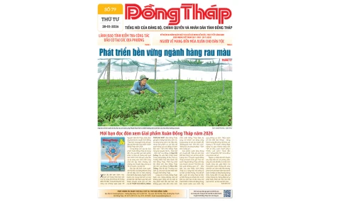 Đón đọc Báo Đồng Tháp số ra ngày 28-1-2026