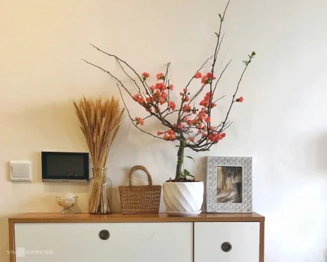 5 cây hoa đỏ dáng nhỏ tạo điểm nhấn không gian sống dịp tết