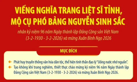 [Infographic] Viếng Nghĩa trang Liệt sĩ tỉnh, Mộ cụ Phó bảng Nguyễn Sinh Sắc