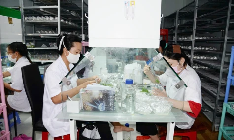 Bài 1: Thực trạng và những vấn đề đặt ra