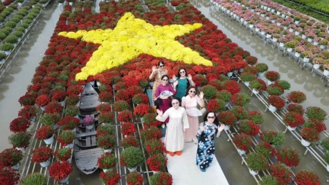 Phường Sa Đéc: 500 giỏ hoa cúc mâm xôi xếp hình lá cờ Việt Nam thu hút khách tham quan