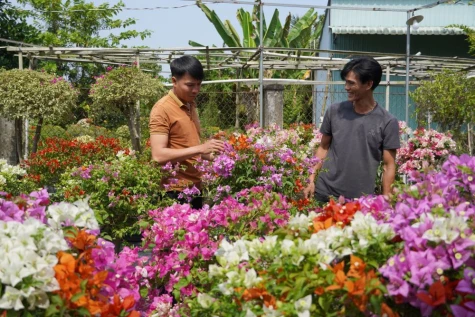 Đồng Tháp: Chăm chút chất lượng và nhạy bén mở rộng kênh tiêu thụ sản phẩm