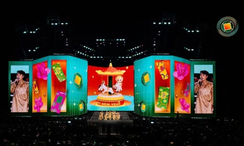 Tổ chức các chương trình nghệ thuật phong phú, đặc sắc phục vụ nhân dân đón Tết