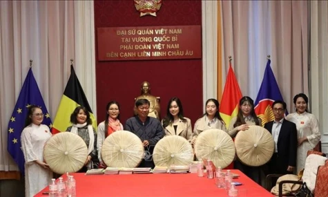 Promoting Vietnamese cultural values and strengthening bonds with the overseas community in Belgium