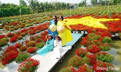 Đồng Tháp: Nhiều điểm “Check in” thu hút khách dịp Tết