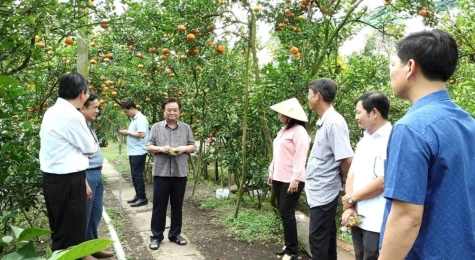 Phó Chủ tịch Quốc hội Lê Minh Hoan thăm Vườn quýt hồng Lan Anh