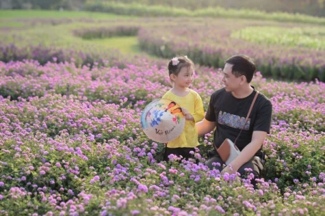 Đồng Tháp: Nhiều điểm du xuân hấp dẫn dịp tết