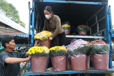 Chợ hoa ngày tết: Gieo hy vọng từ những mùa xuân