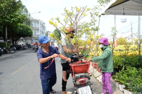 Đồng Tháp: Sức mua hoa, kiểng tăng, nhưng chưa như kỳ vọng