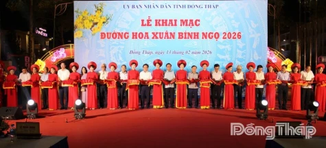 Dong Thap: Opening of Spring Flower Streets in Dao Thanh and Cao Lanh Wards