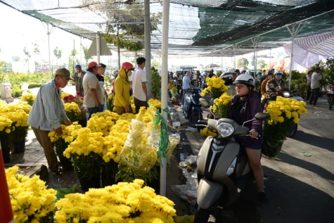 Hoa, kiểng tết đại hạ giá chiều 29 Tết