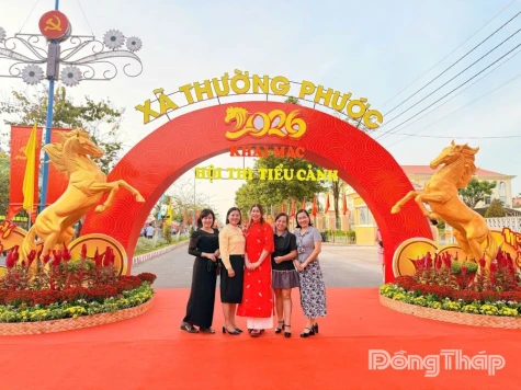 Dong Thap: Vibrant Spring and Tet Celebrations