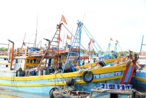 Ngư dân Đồng Tháp nô nức vươn khơi