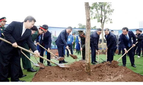 Tổng Bí thư Tô Lâm dự Lễ phát động Tết trồng cây tại Hà Nội