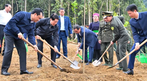 Chủ tịch nước Lương Cường: Tiếp tục đưa phong trào trồng cây đi vào chiều sâu, thực chất