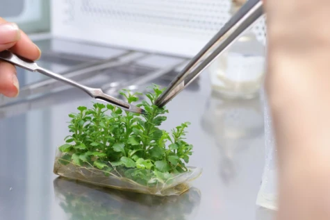 Đồng Tháp: Khi thế hệ trẻ “số hóa” và “xanh hóa” chuỗi giá trị nông nghiệp