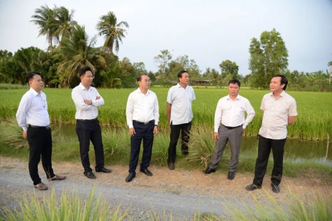 Lãnh đạo Sở Nông nghiệp và Môi trường tỉnh Đồng Tháp kiểm tra công tác phòng, chống hạn, mặn