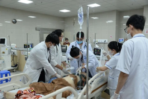 Sắc áo “blouse trắng” trong những ngày xuân