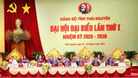 Xây dựng Đảng vững mạnh từ chi bộ